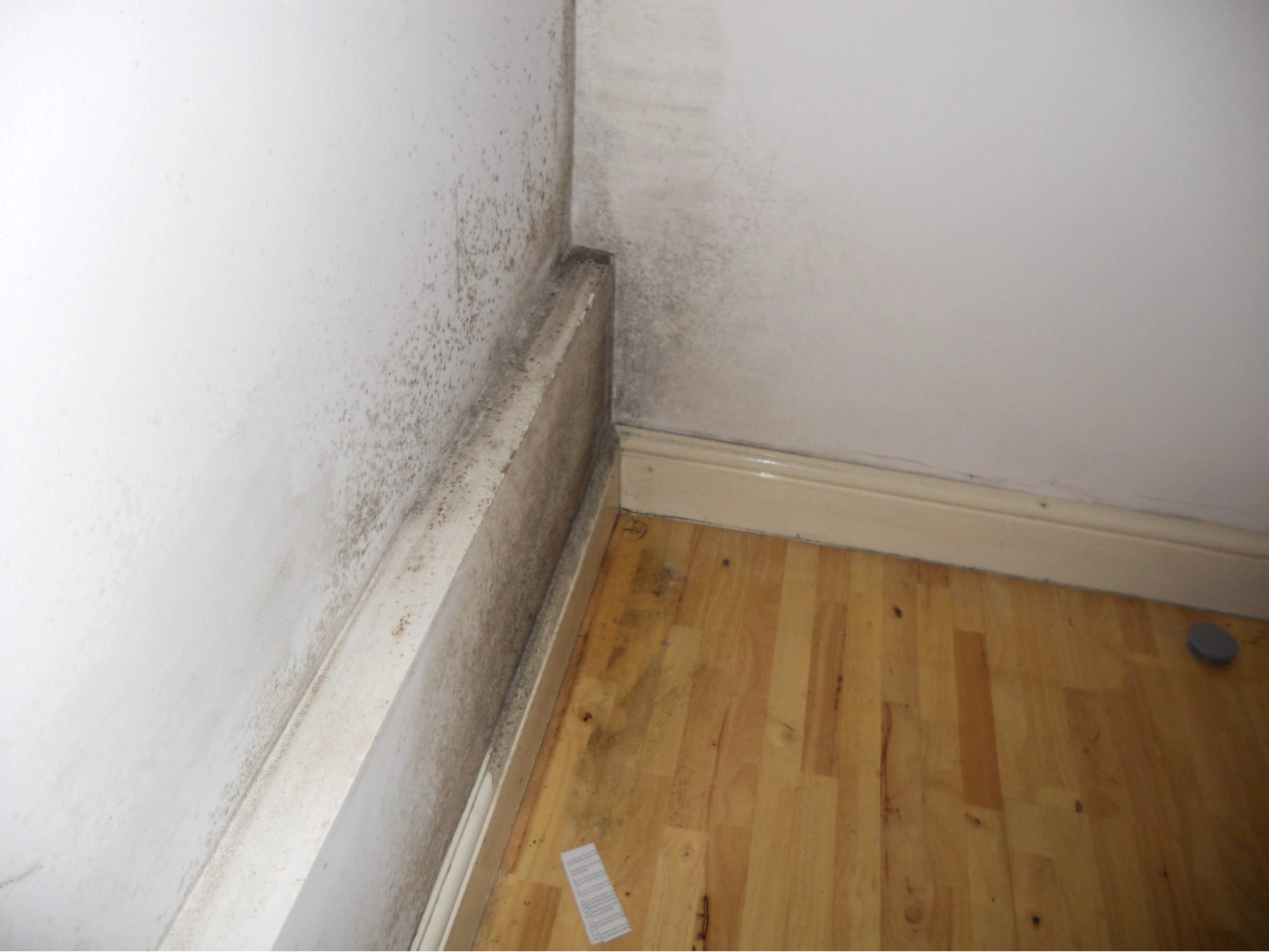 image3-ezgif.com-png-to-webp-converter image3-ezgif.com-png-to-webp-converter